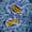 Immune System Dysfunction in Fibromyalgia: Position Paper